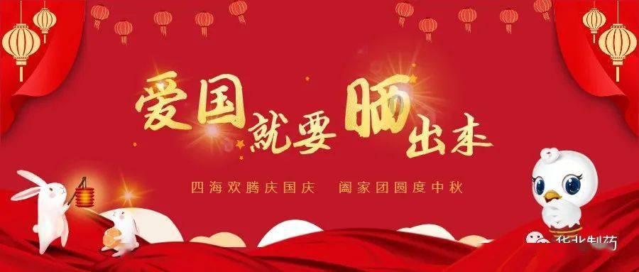 饥饿的松鼠救援